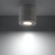 Plafondlamp orbis beton