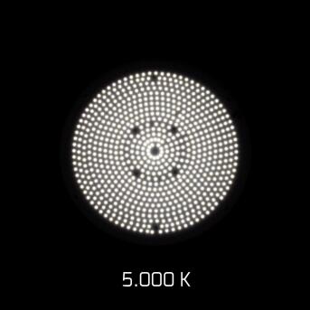 DOTLUX LED-Hallenstrahler LIGHTSHOWERevo-ambient 135W 5000K DALI + 35W 3000K phasenabschnittsdimmbar gefrostete Abdeckung ballwurfsicher Made in Germany