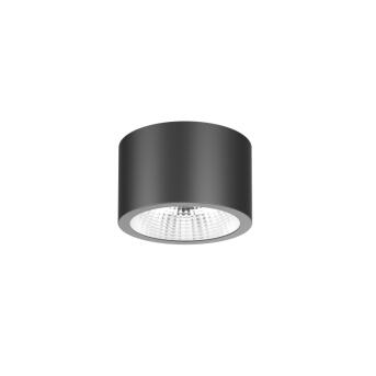 DOTLUX LED LICHT CIRCLE-TOP 25W 3000/4000/5700K Colorselect Black