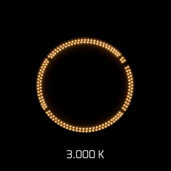 DOTLUX LED binnen schijnwerpers Lightshower Evo Ambient 135W 5000K Dali + 42W 3000K Dammbar Fridart Fridation Concess Ball Throw-Proof gemaakt in Duitsland