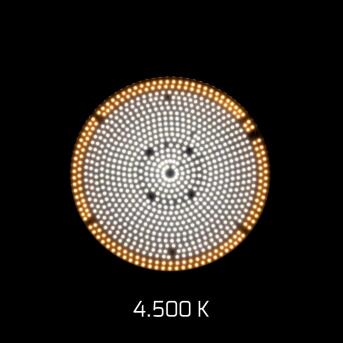 DOTLUX LED-Hallenstrahler LIGHTSHOWERevo-ambient 135W 5000K DALI + 42W 3000K DALI dimmbar gefrostete Abdeckung ballwurfsicher Made in Germany