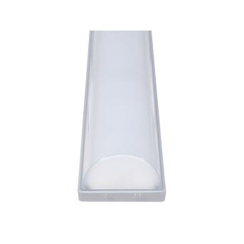 Dotlux LED Moisture Lamp HighforCeabs IP66/IP69 1455mm 27W 4000K IK06 2x5-Poly, inclusief de eindkap