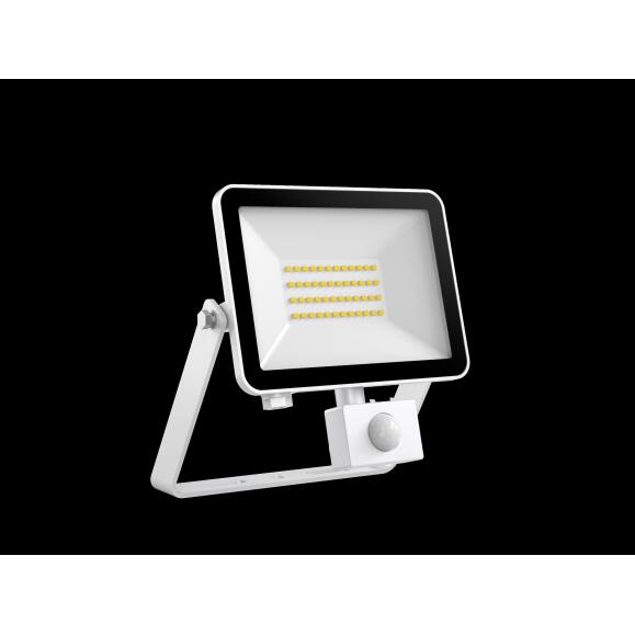 DOTLUX LED Spotlight Floorlim Sensor 30W 4000K Wit met PIR -bewegingsdetector