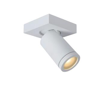 Taylor plafond Spotlight Badkamer LED Dim tot Warm GU10...