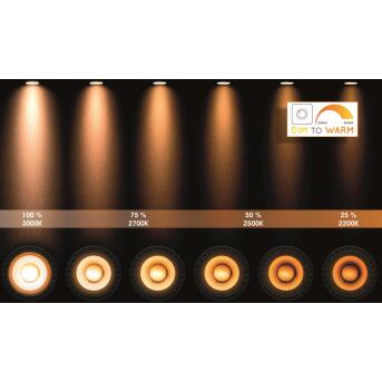 Taylor plafond Spotlight Badkamer LED Dim to Warm Gu10 2x5W 2200K/3000K IP44 Black