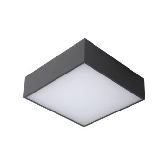 Roxane plafondlamp badkamer LED 1x12W 2700K IP54 antraciet