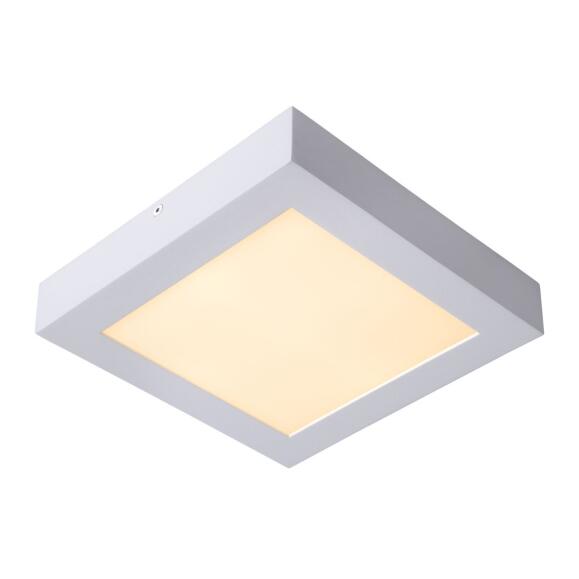 Brice LED plafondlamp badkamer LED Dim. 1x22W 3000K IP44 White