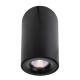 schwarze runde Deckenaufbauleuchte Bengala LED 9,20 W dimmbar