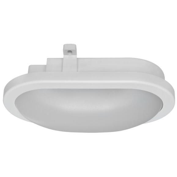 LED ovale lamp witte LEDs/230V/12W, 840 lm, 4000k