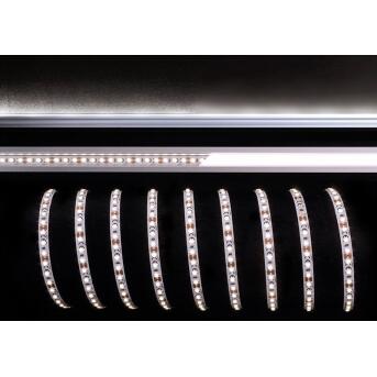 KapegoLED Flexibler LED Stripe, 3528-120-12V-4000K-5m