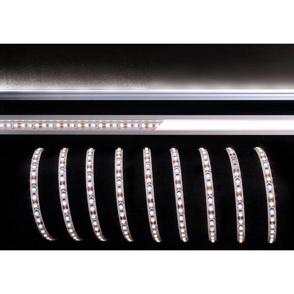 Capegoled flexibele LED-streep, 3528-12V-6500K-5M